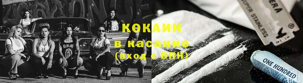 мдпв Богородск