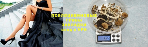 дживик Богданович