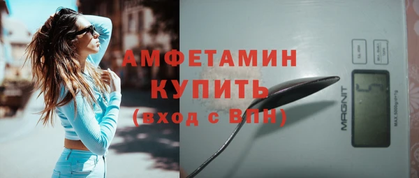 мдпв Богородск