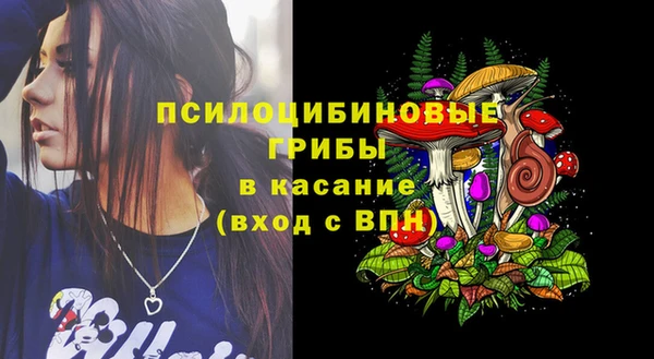 мдпв Богородск