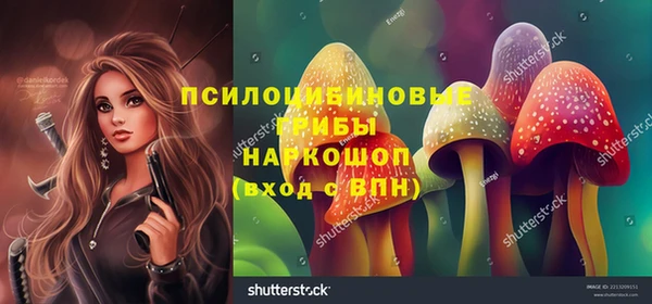 мдпв Богородск