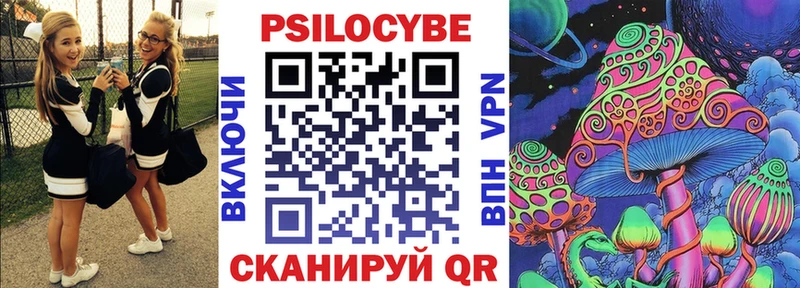 Псилоцибиновые грибы Psilocybe  Бийск 